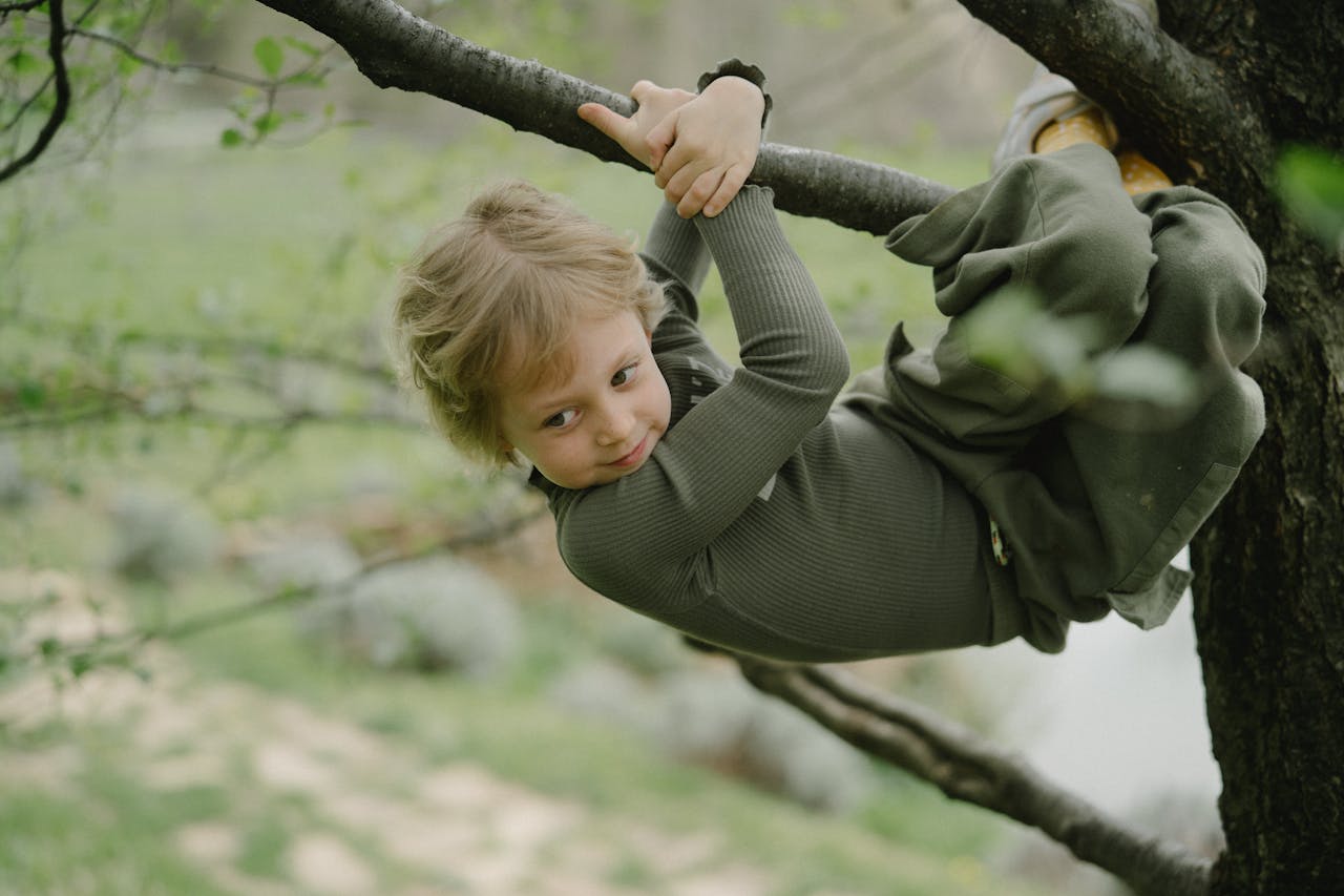 Climbing Trees And Taking Big Swings