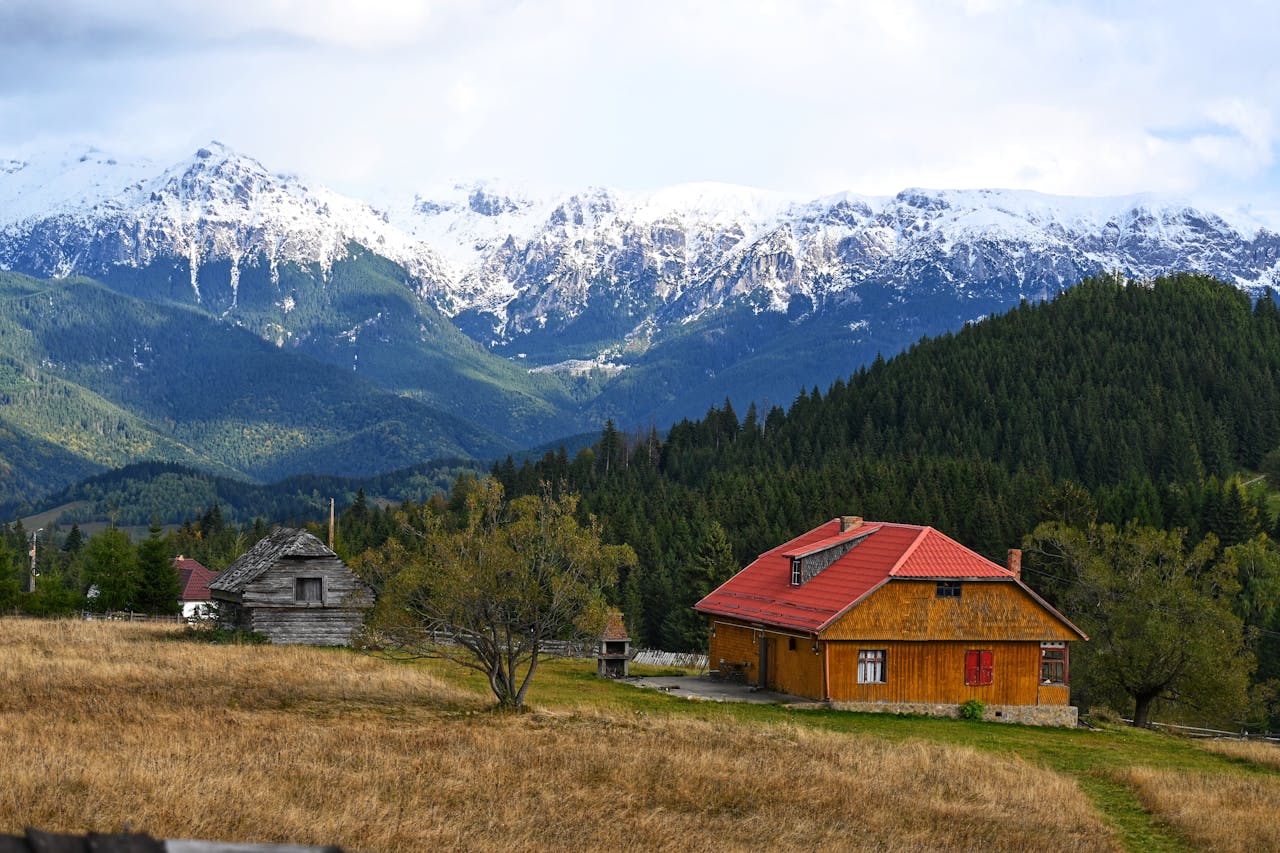 Romania: Taxing the Witches