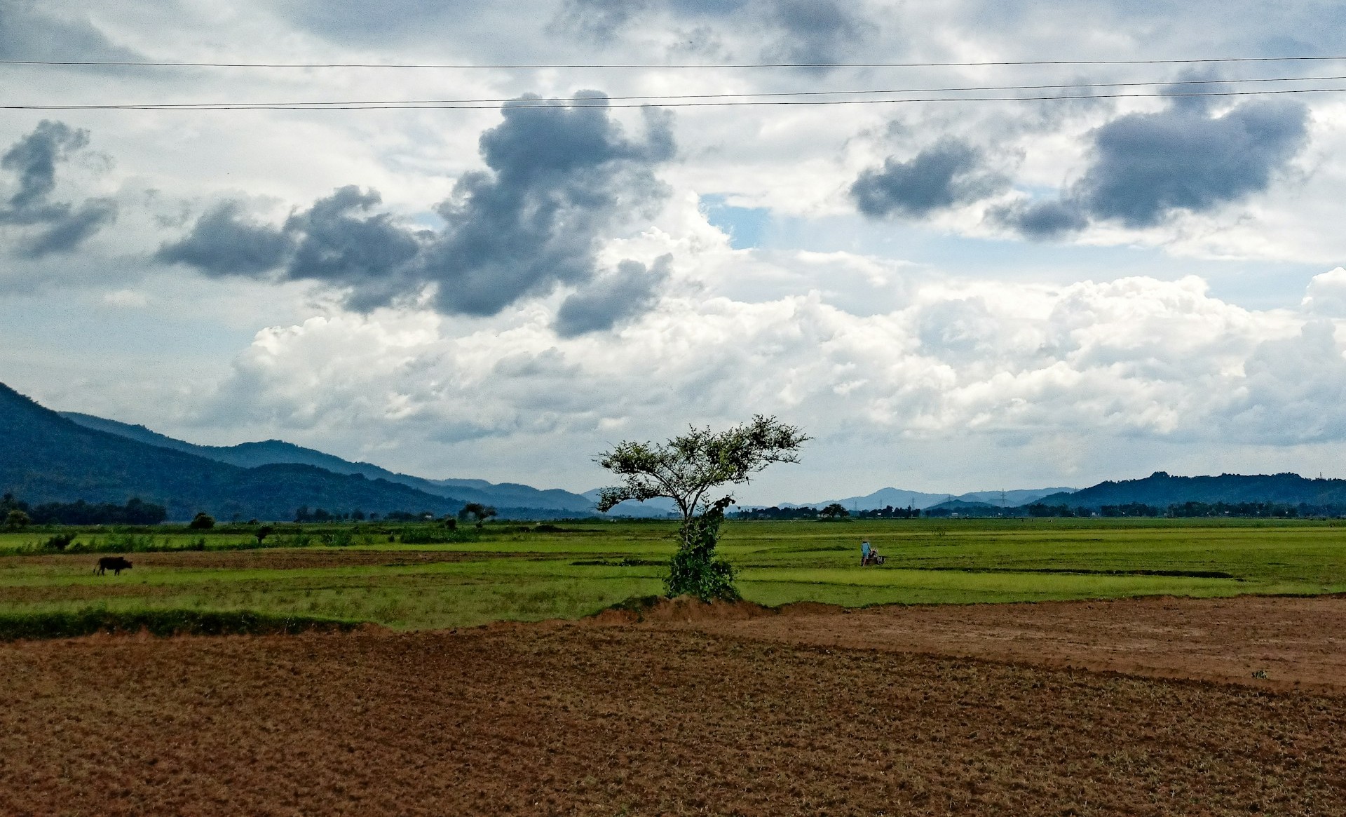 India, Assam: Banning Witch-Hunting