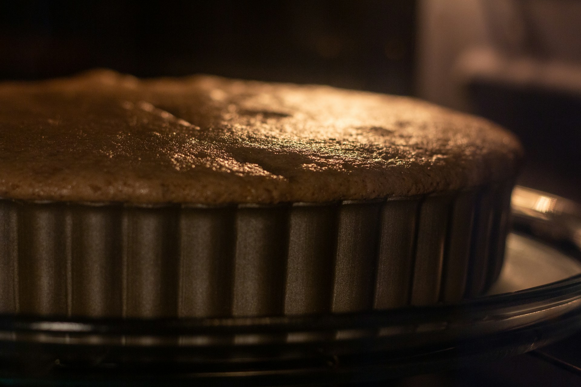Early Fermentation And Freezer Planning