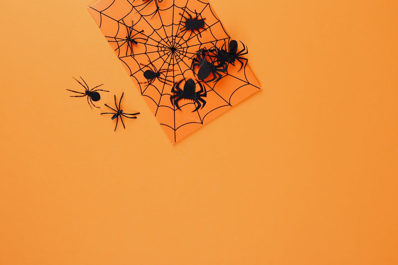 Spiders and Webs