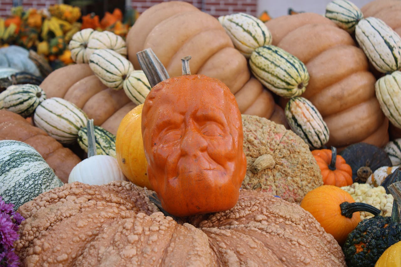 Half Moon Bay Art And Pumpkin Festival, California