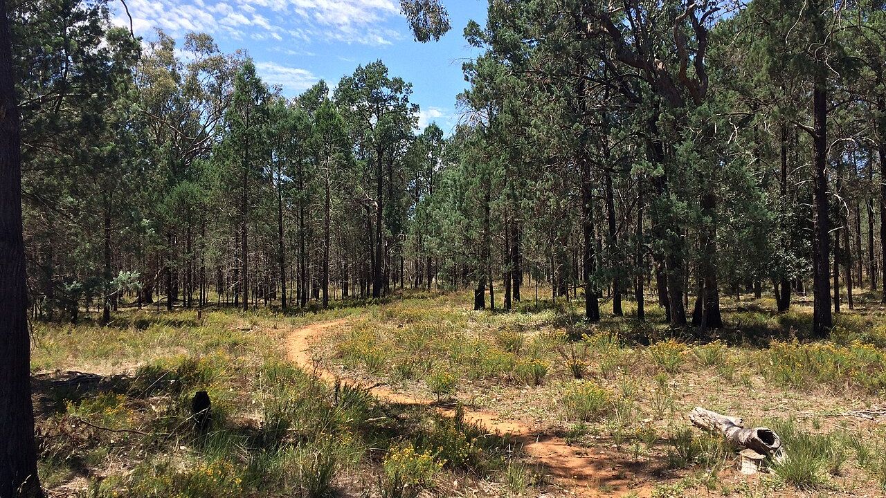 13 Secluded Towns Hidden in the Fields and Forests of Southwestern Kentucky