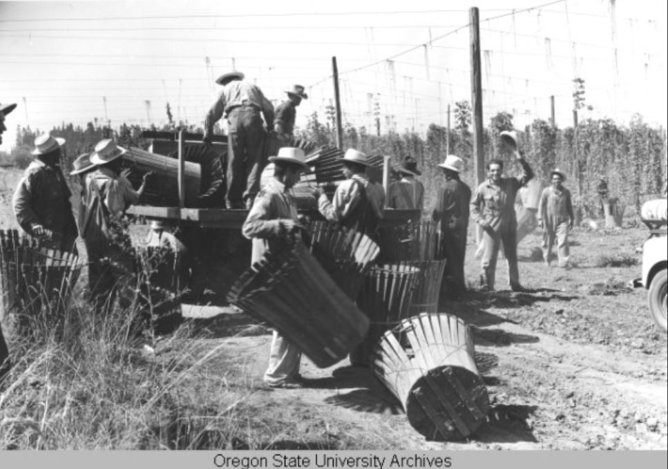 Laws That Enabled It