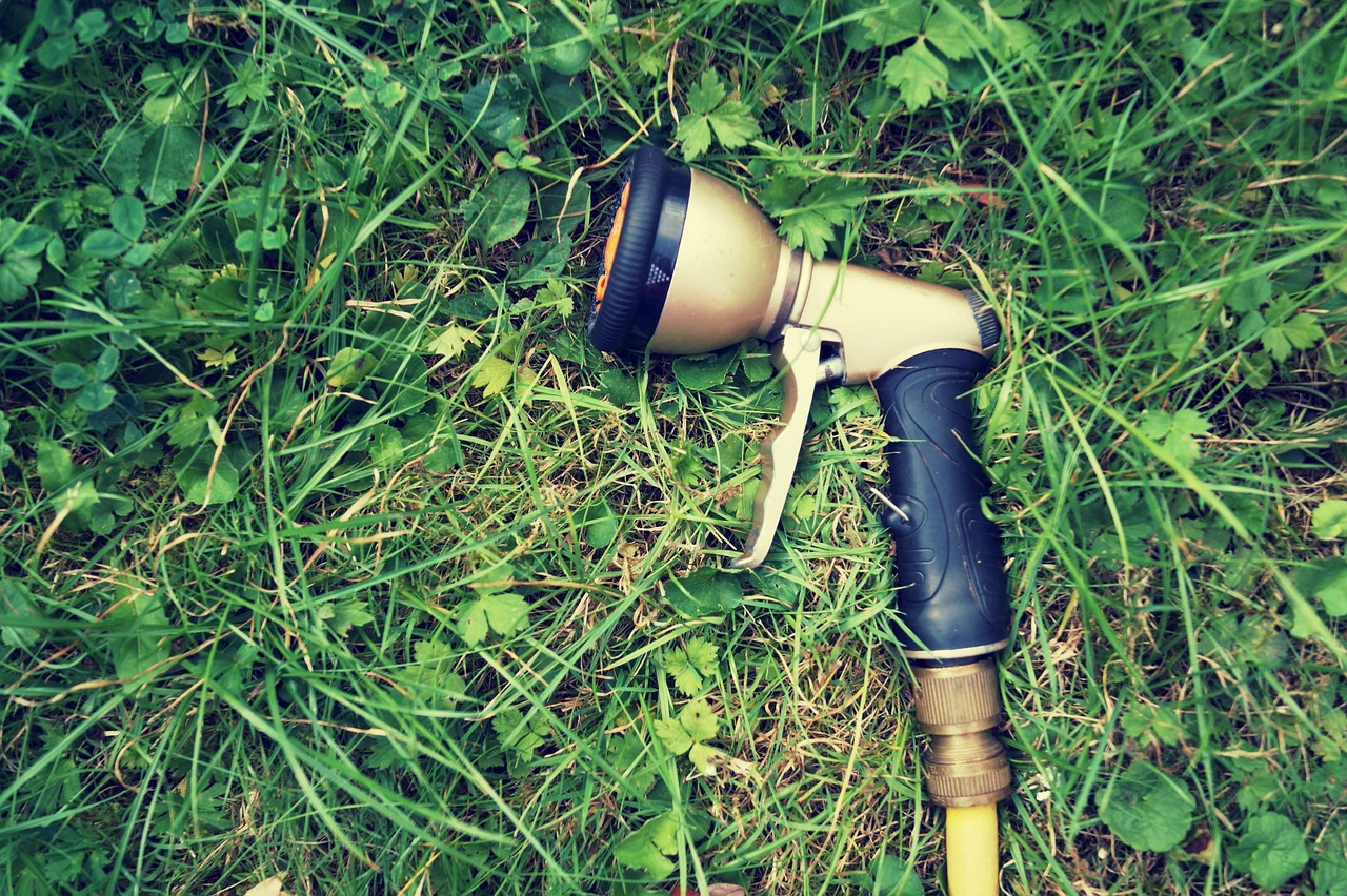 Drinking From The Hose