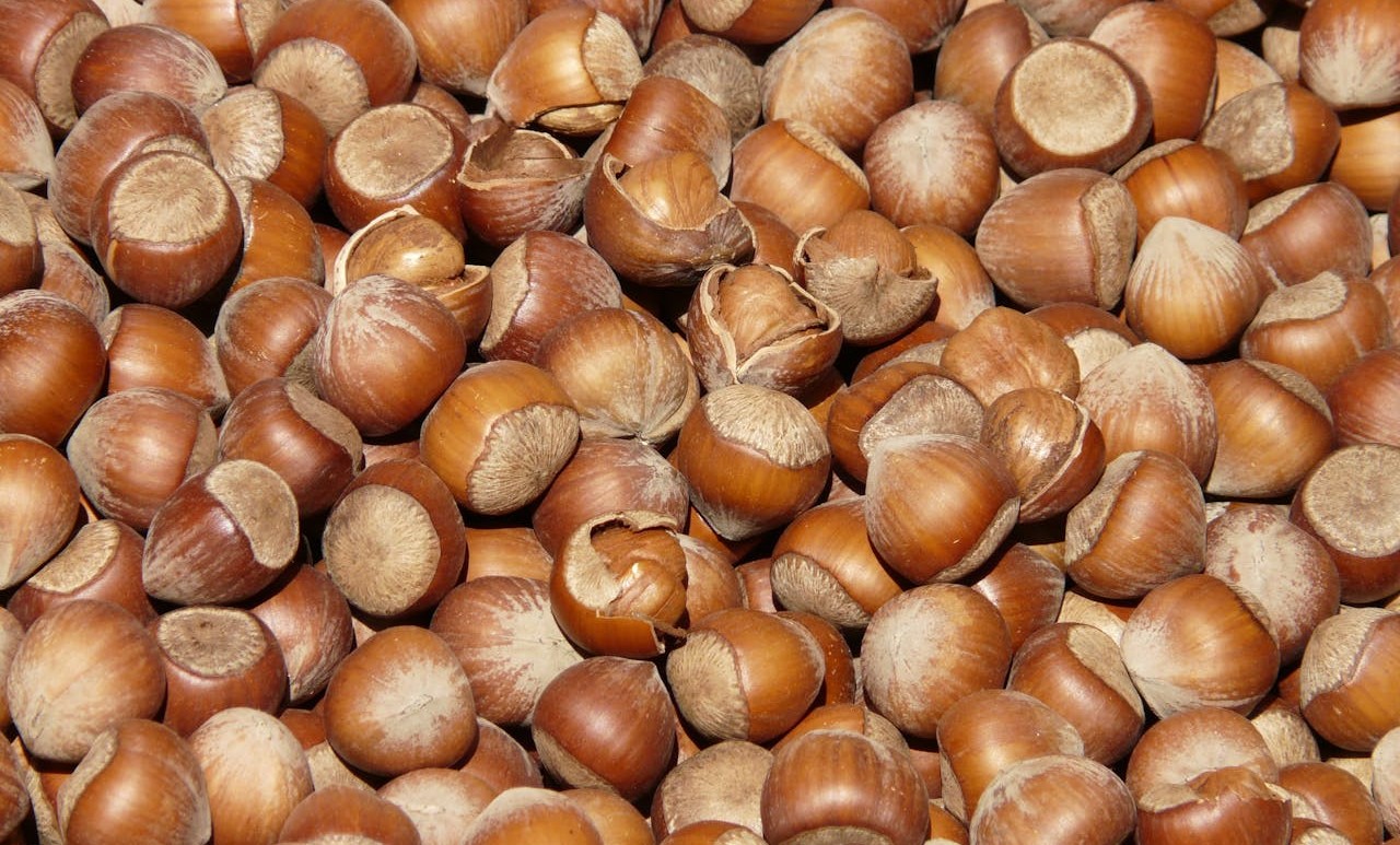 Hazelnuts And Fortune Games