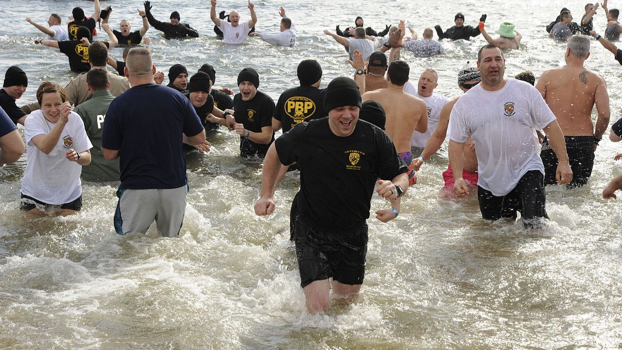 Polar Bear Plunges