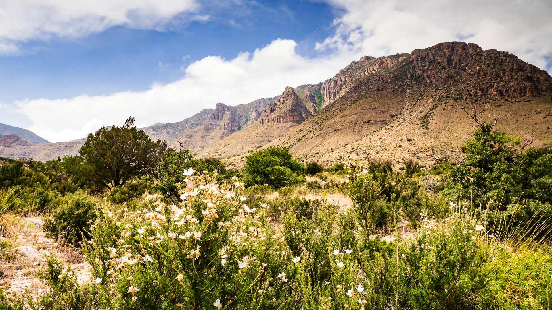 Guadalupe Mountains National Park, Texas