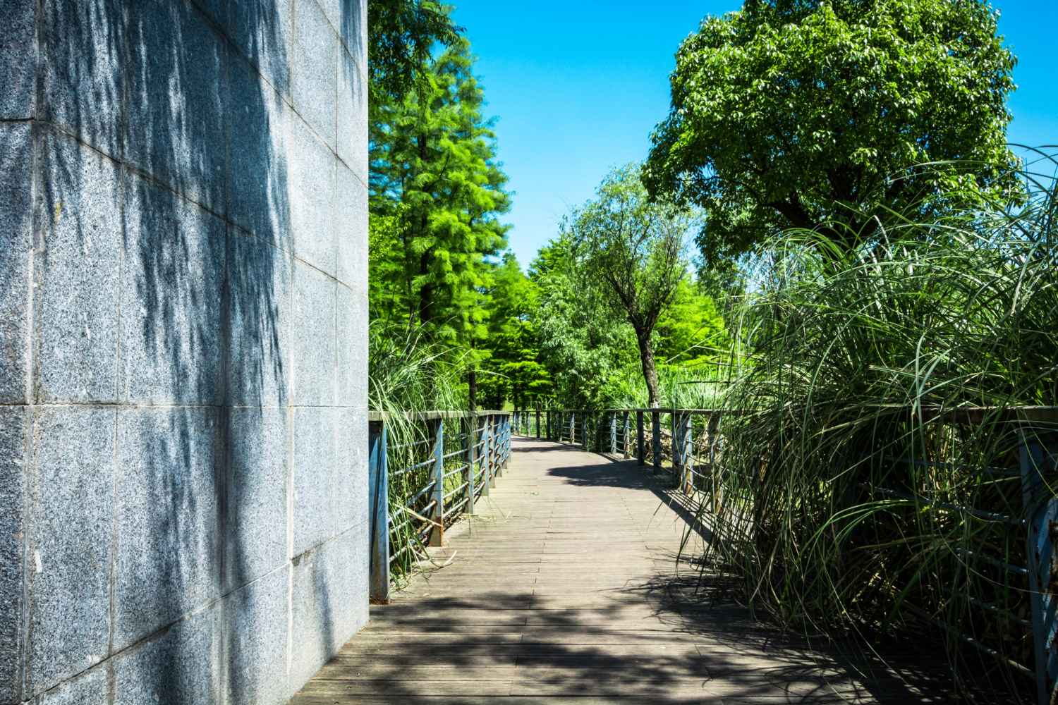 Blocking Sidewalks Or Corner Sightlines