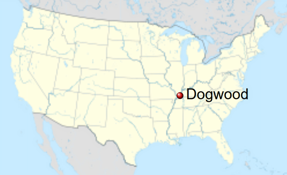 Dogwood, Graves County