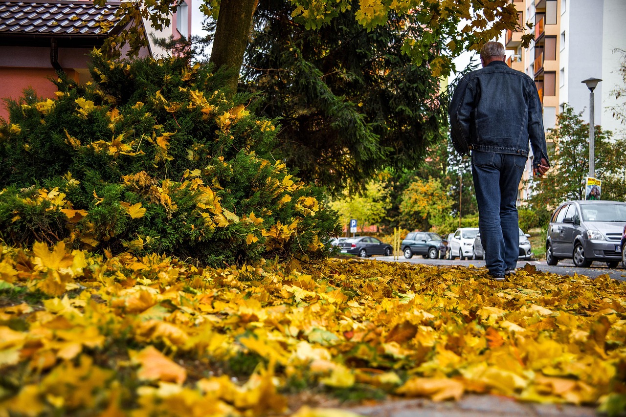 Blowing Leaves Or Clippings Into The Street