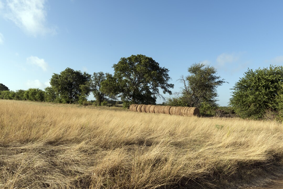 Bush Family Ranch, Texas