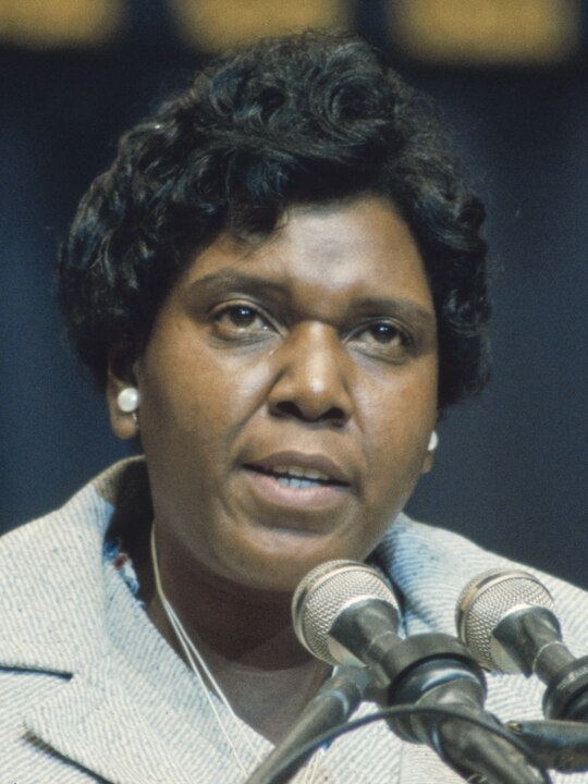 Barbara Jordan, Barrier-Breaking Texas Legislator