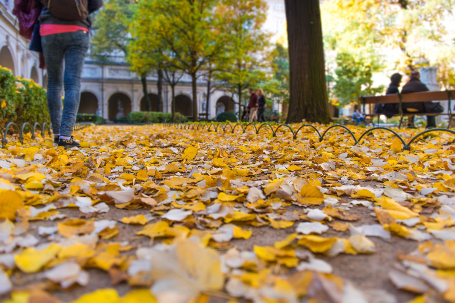 Blowing Leaves Or Clippings Into The Street