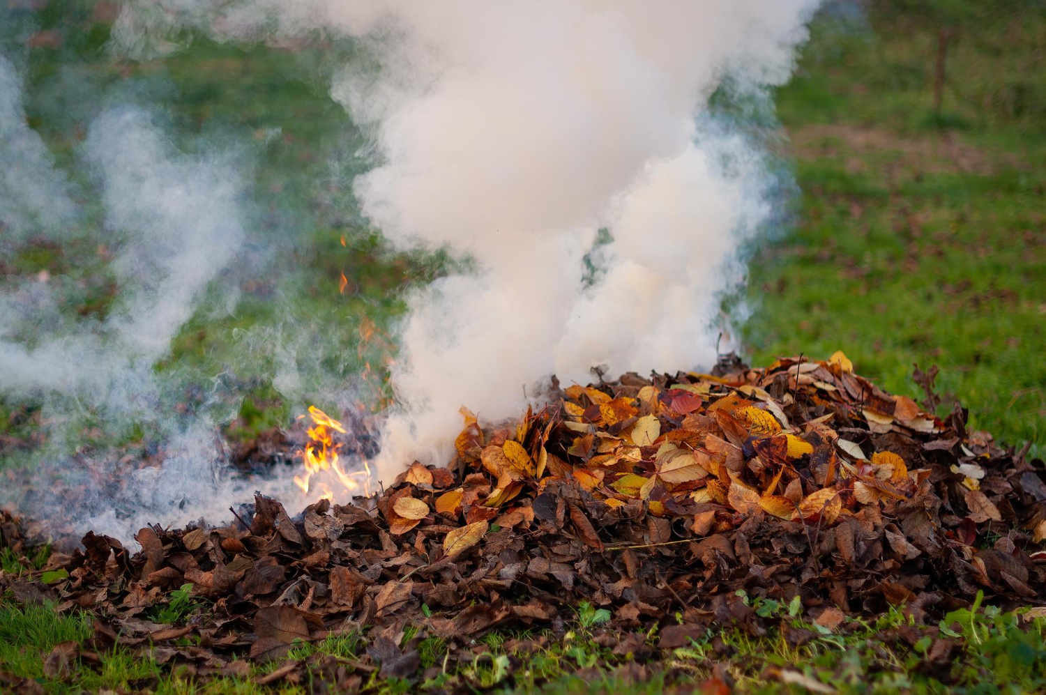 Burning Yard Waste or Using a Burn Barrel