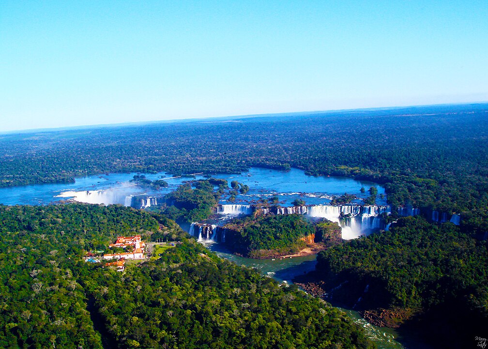 South American Forests Lit From Within