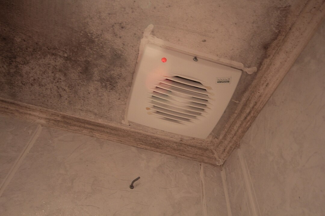 Stain Around A Bathroom Fan