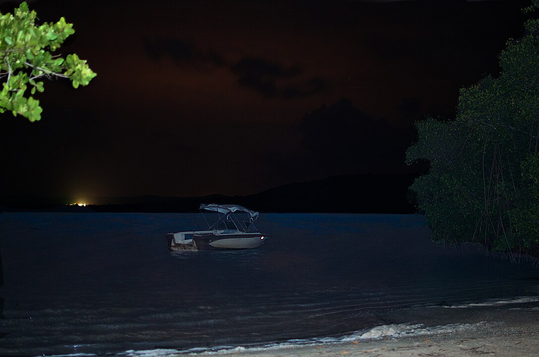 Mosquito Bay, Vieques, Puerto Rico