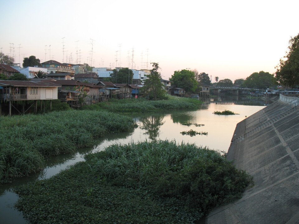 Lopburi, Thailand: Feeding The Monkey Neighbors