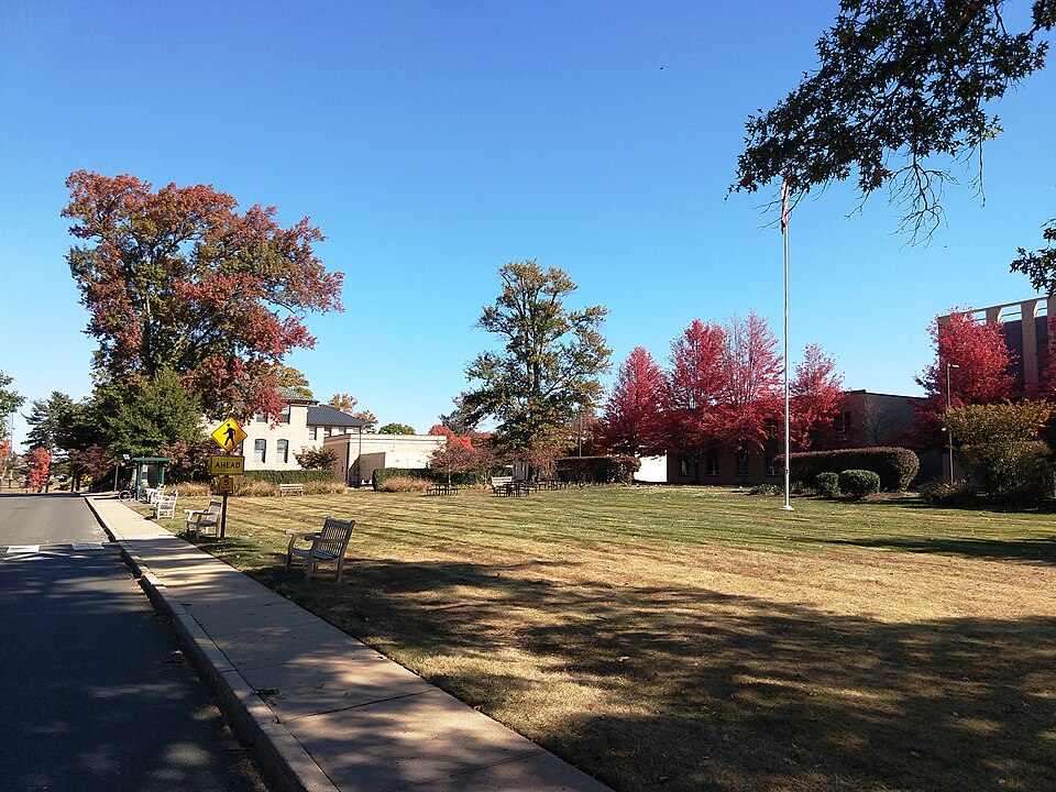 Princeton University