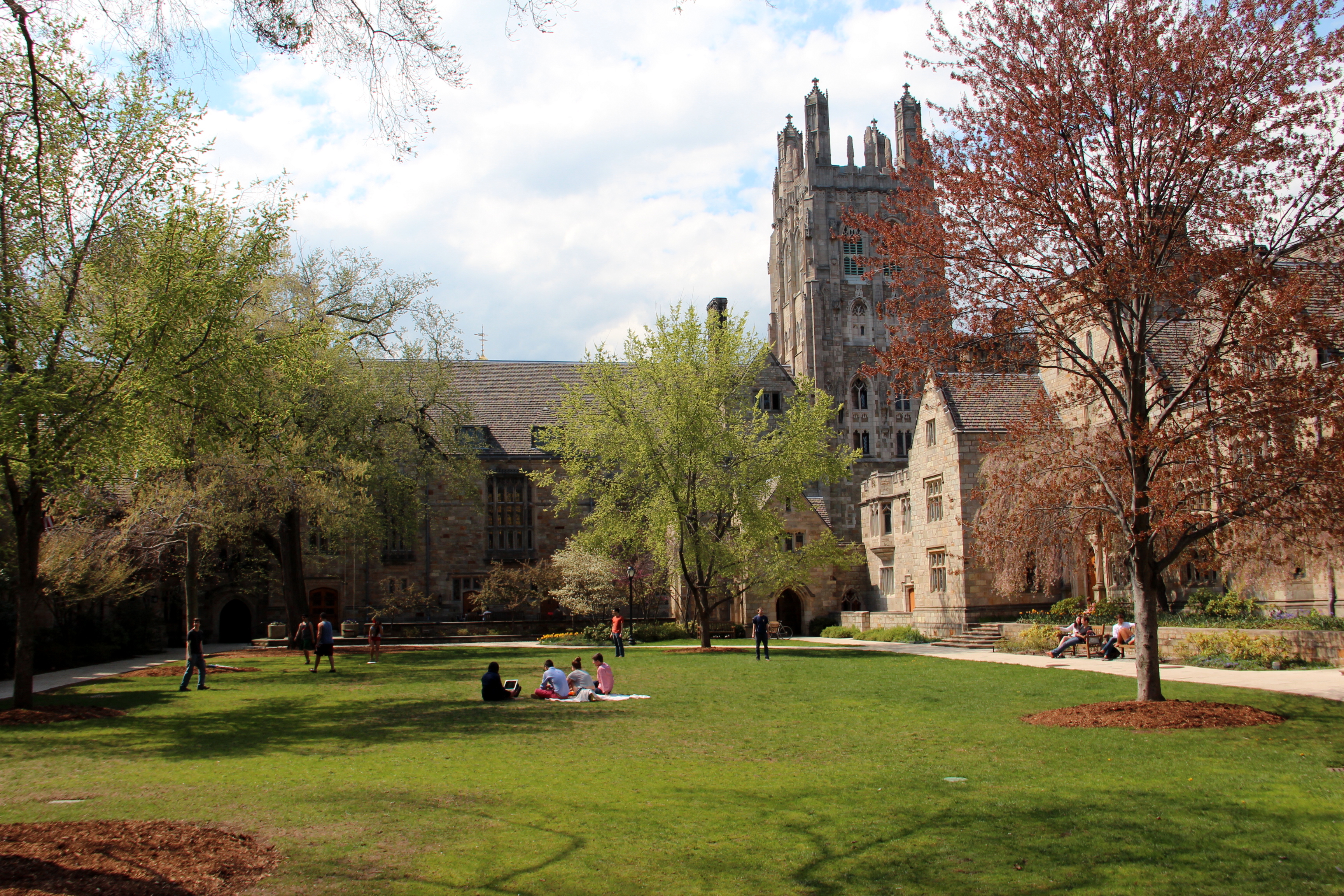 Yale University