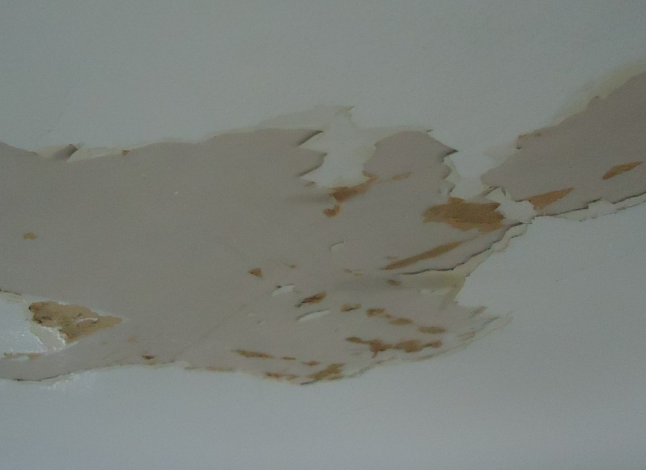 Ceiling Stains