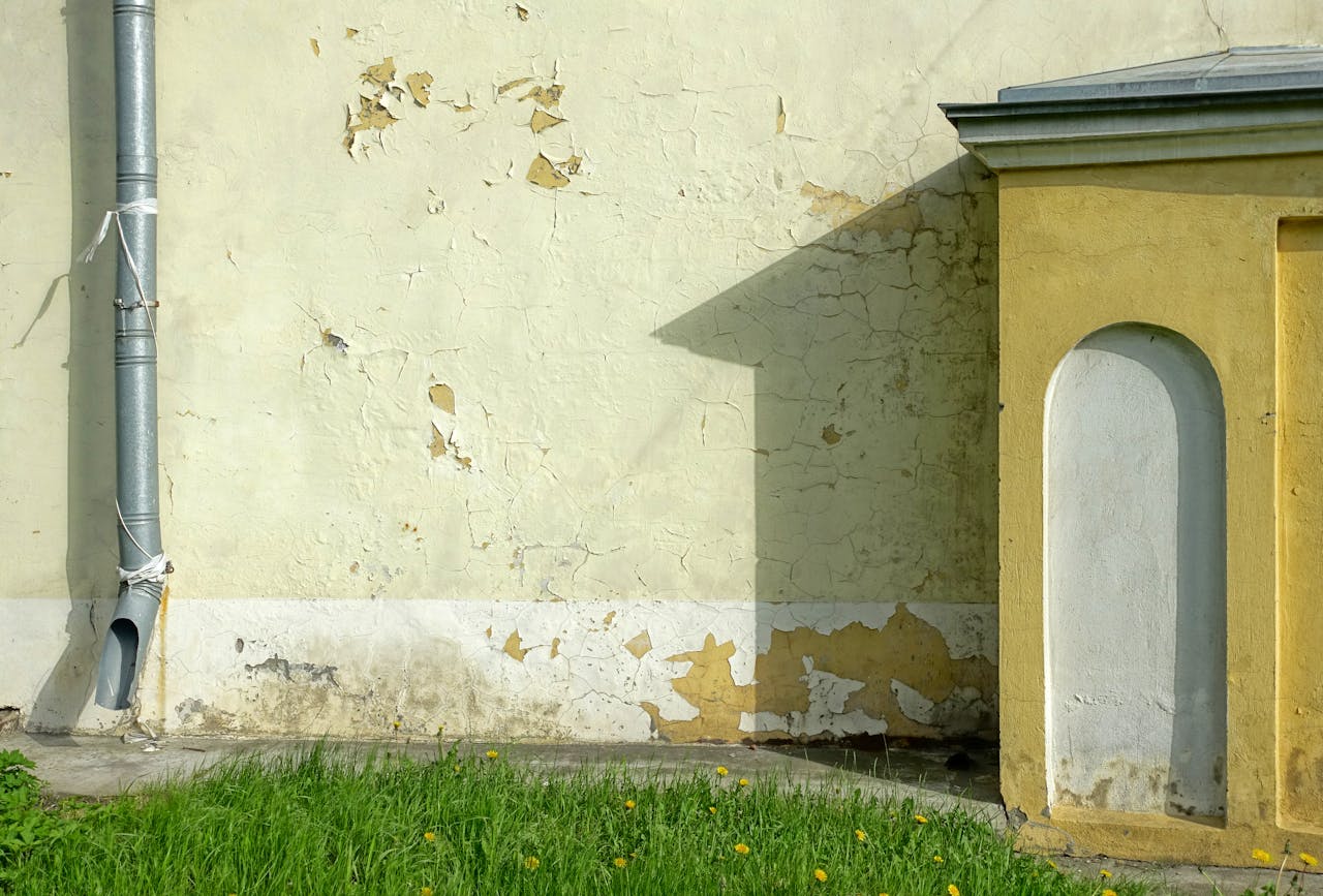 Mold On Exterior Walls