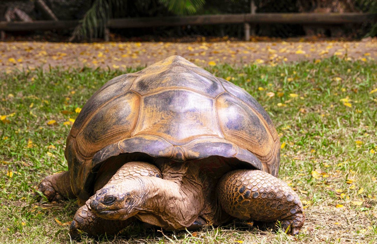 Elders And New Beginnings Worldwide
