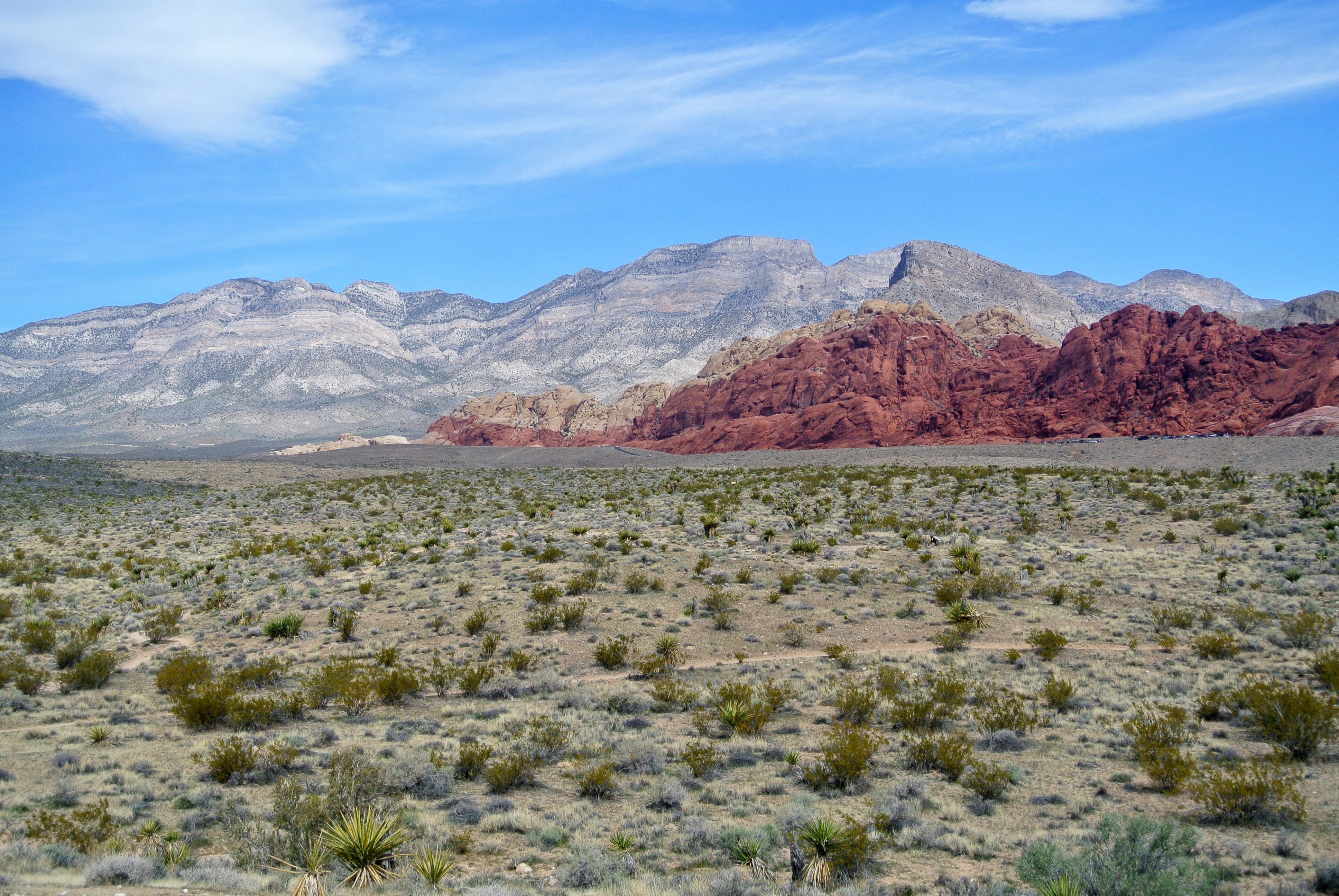 Red_Rock_Canyon_National_Conservation_Area_view_031513
