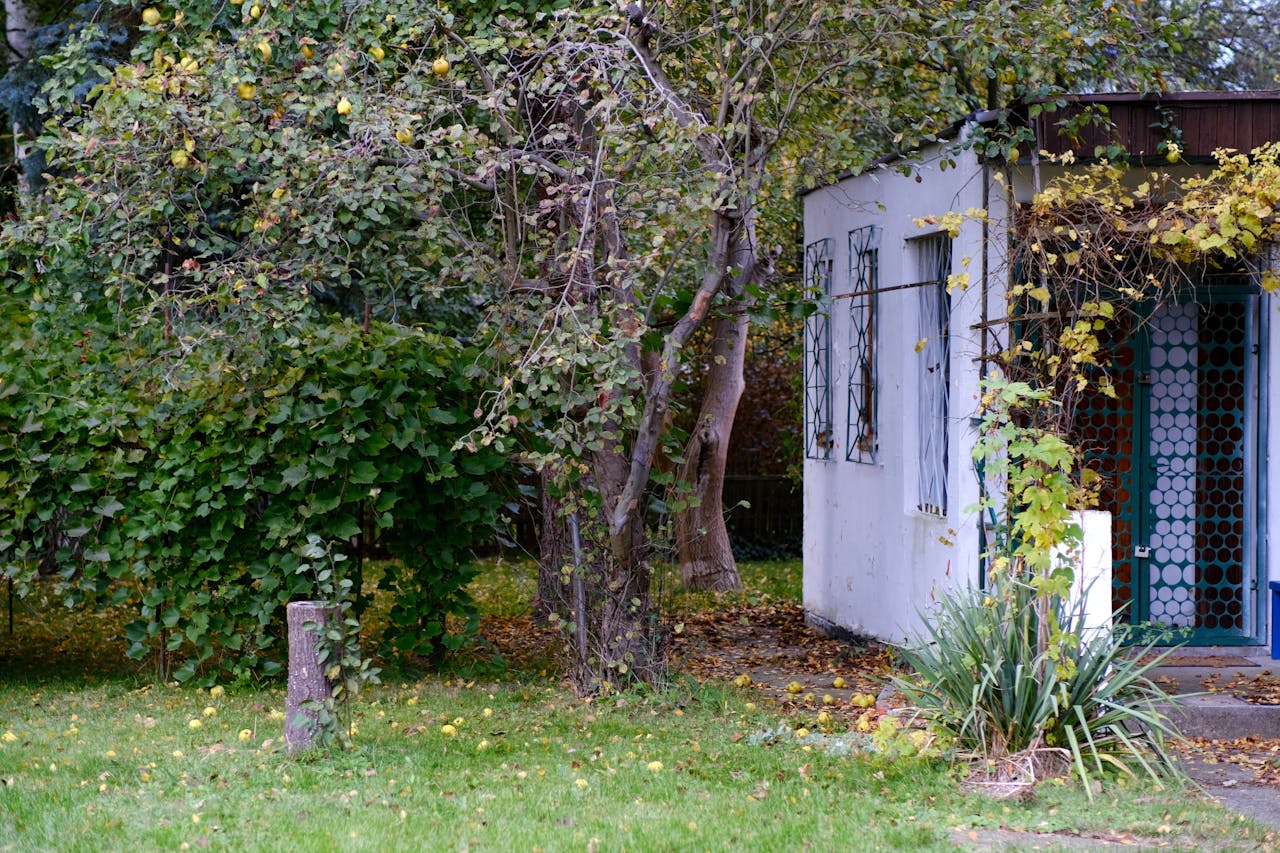 City Code Cases Triggered By HOA Complaints