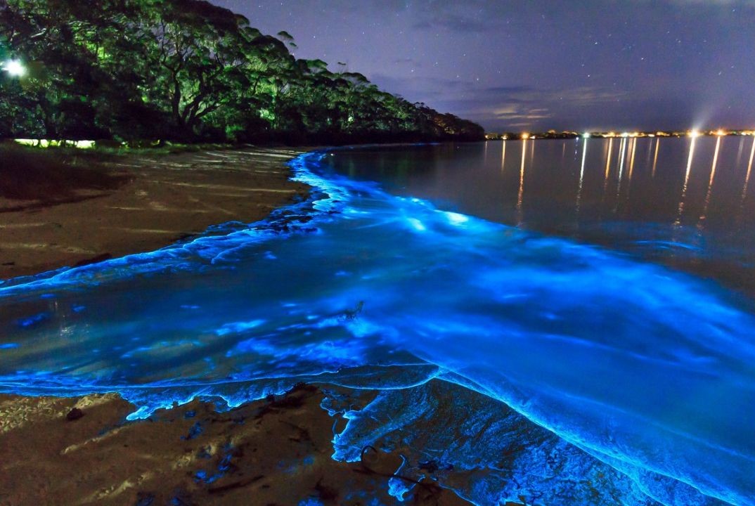 Vaadhoo Island’s Sea Of Stars, Maldives