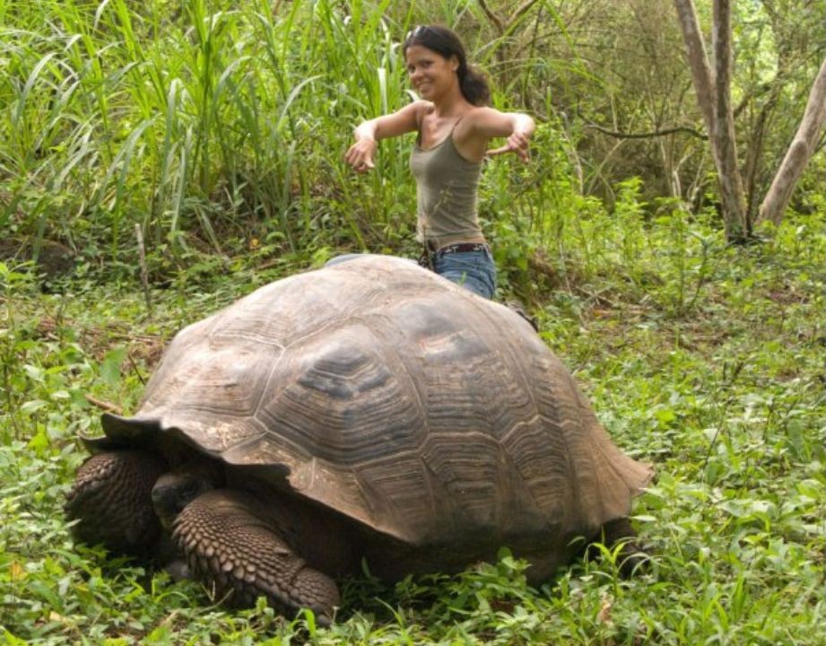 Visitors Who Grew Up With Gramma