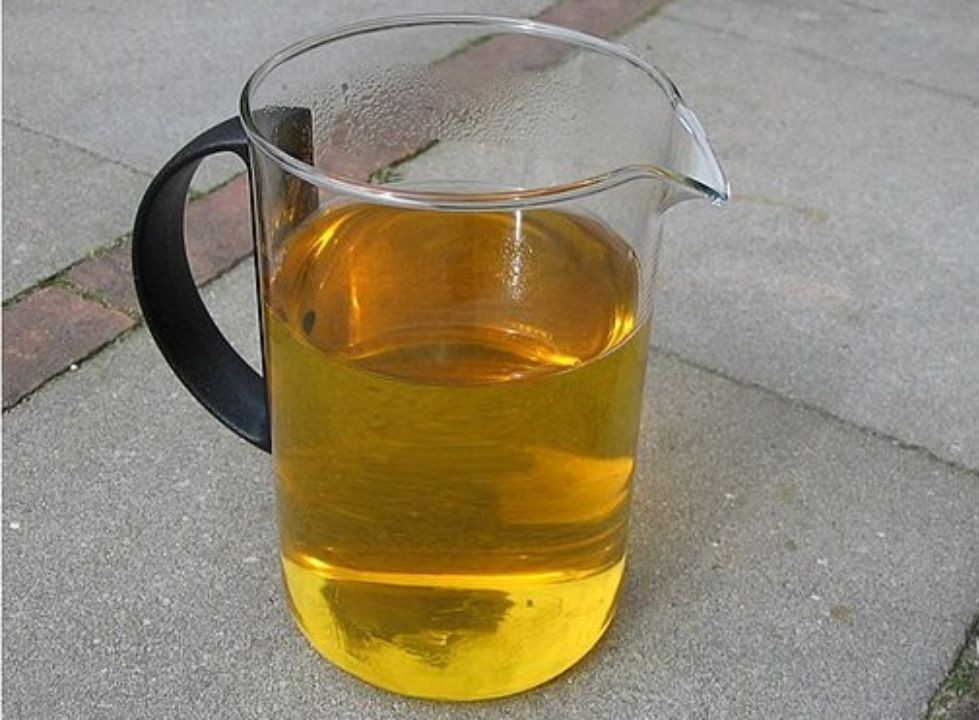 Drinking Urine To Stay Hydrated