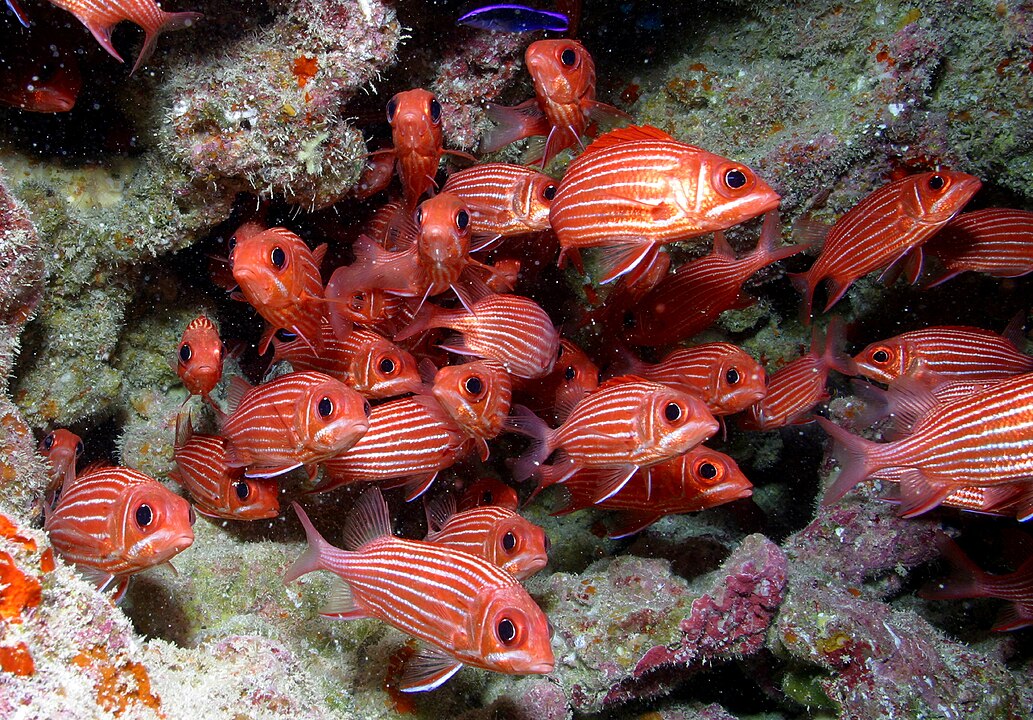 Papahānaumokuākea Marine National Monument, Hawaiʻi