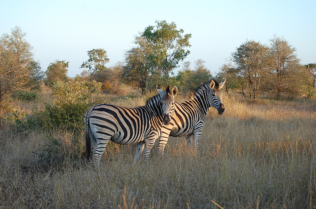 Kruger National Park