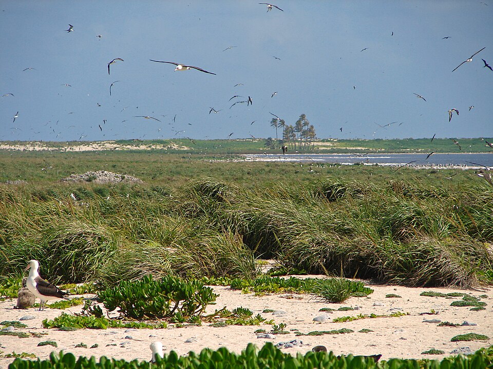 Hawaiian Islands National Wildlife Refuge, Northwestern Hawaiian Islands