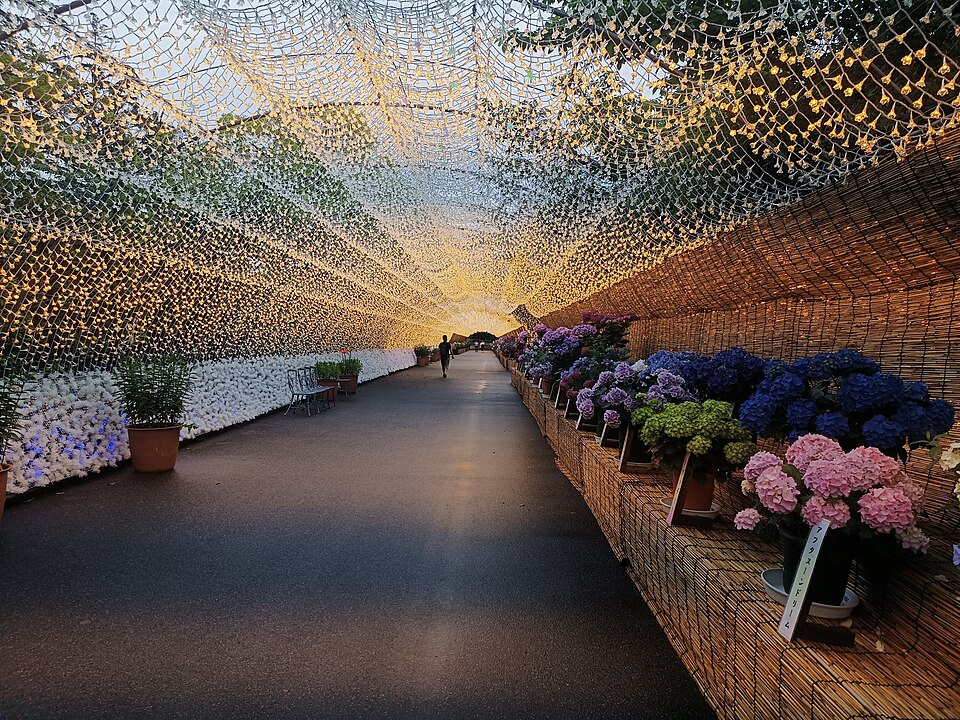 Nabana_no_Sato_Tunnel_Of_Light,_Nagoya,_Japan