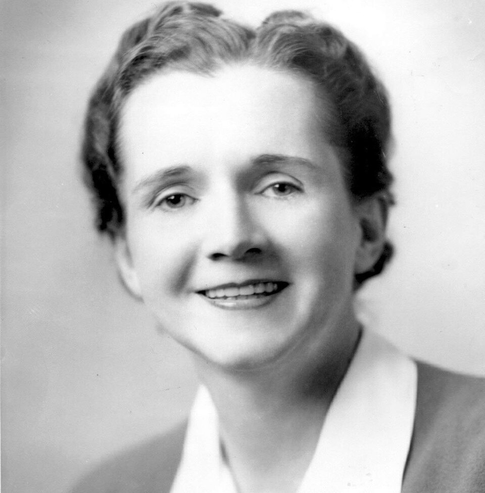 Rachel Carson: The Quiet Field Scientist Who Changed Policy