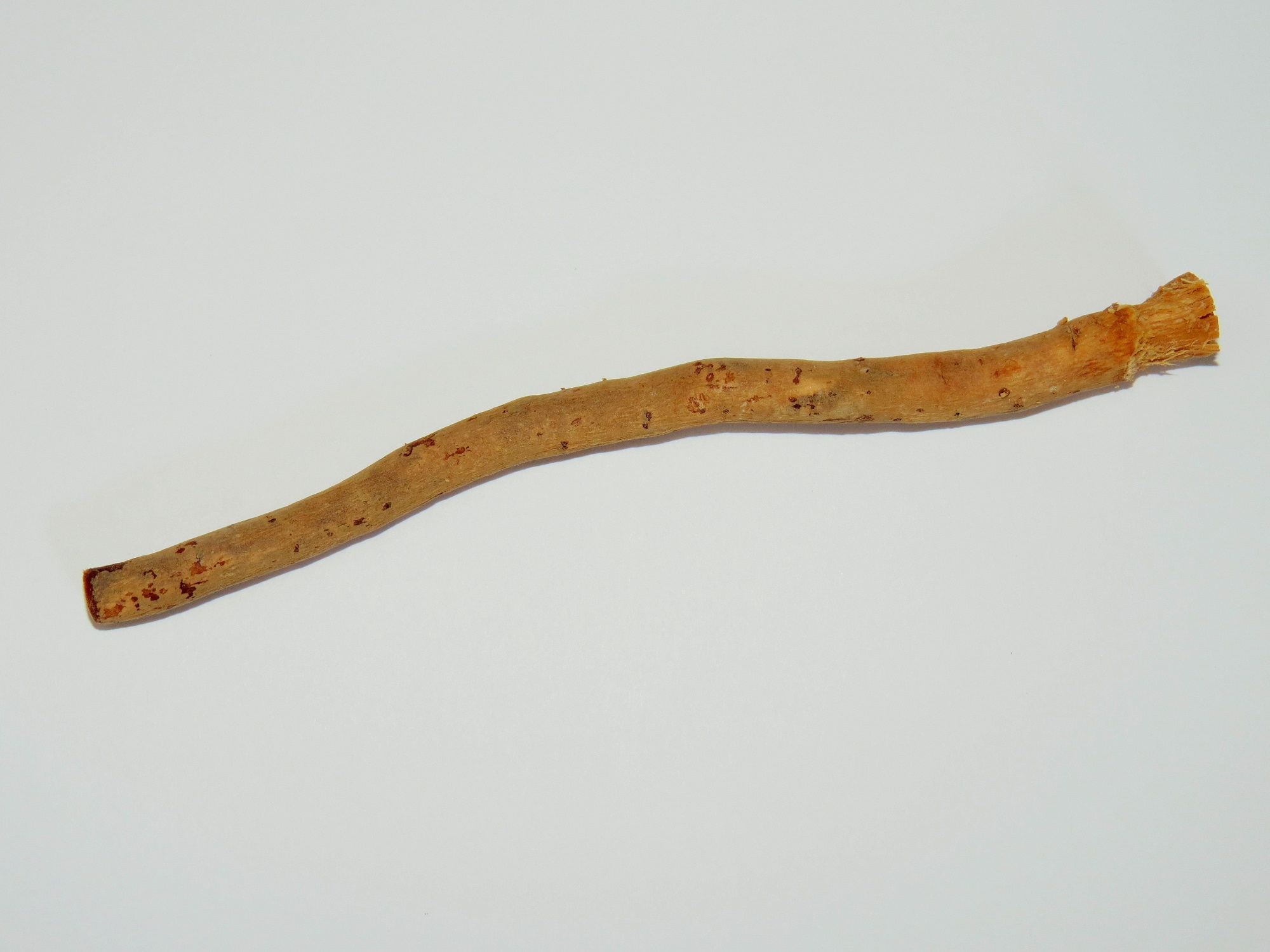 Miswak