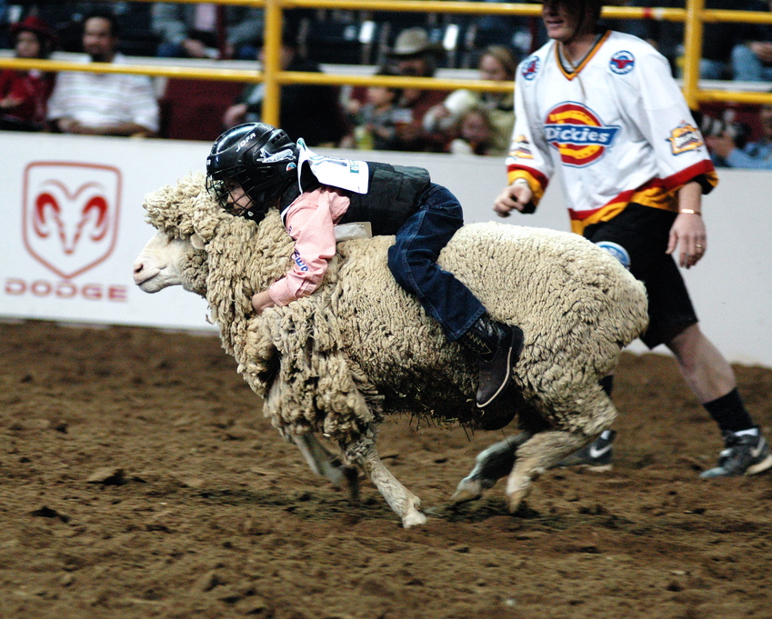 Mutton_busting