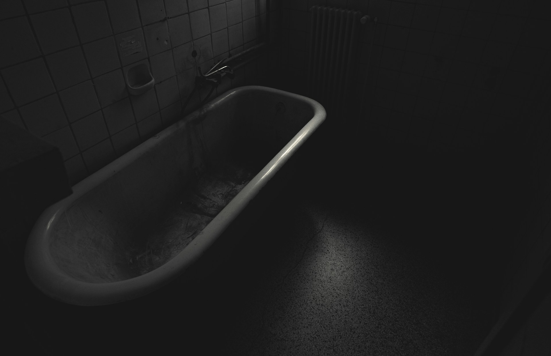 The Kidney Heist in the Hotel Bathtub