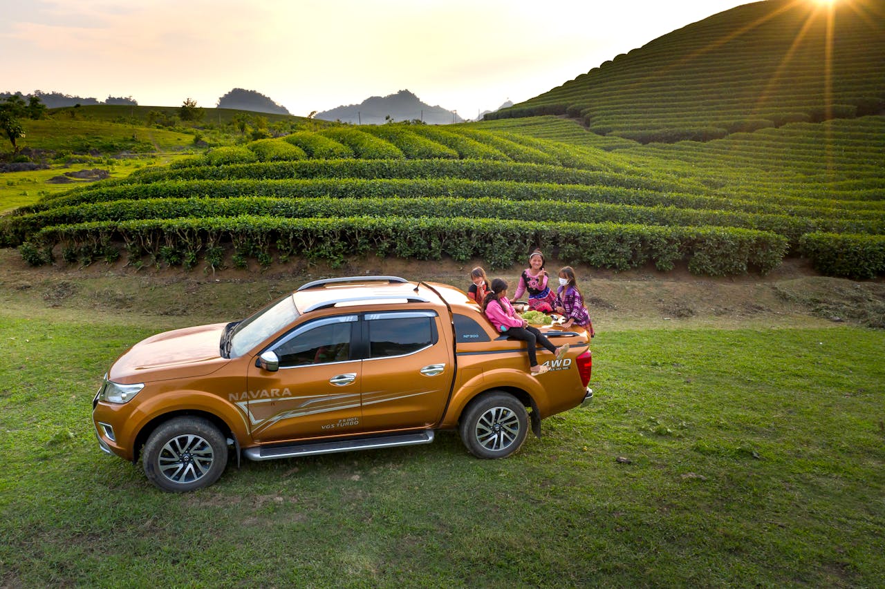 Riding In The Back Of Pickup Trucks