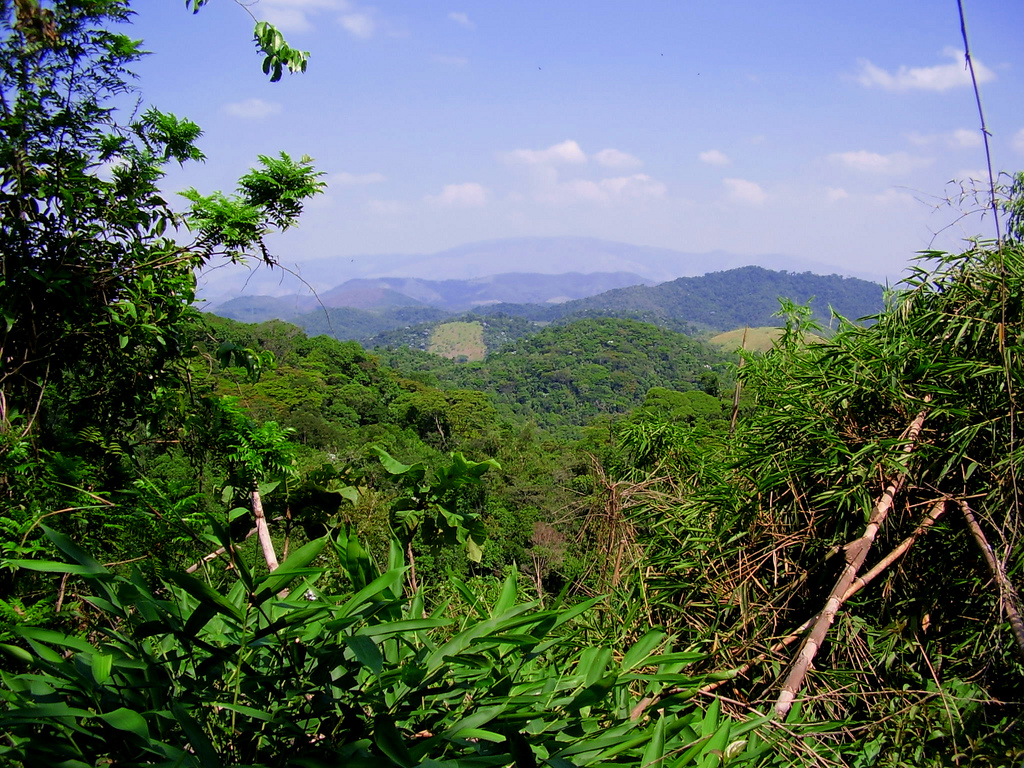 Tinguá Biological Reserve