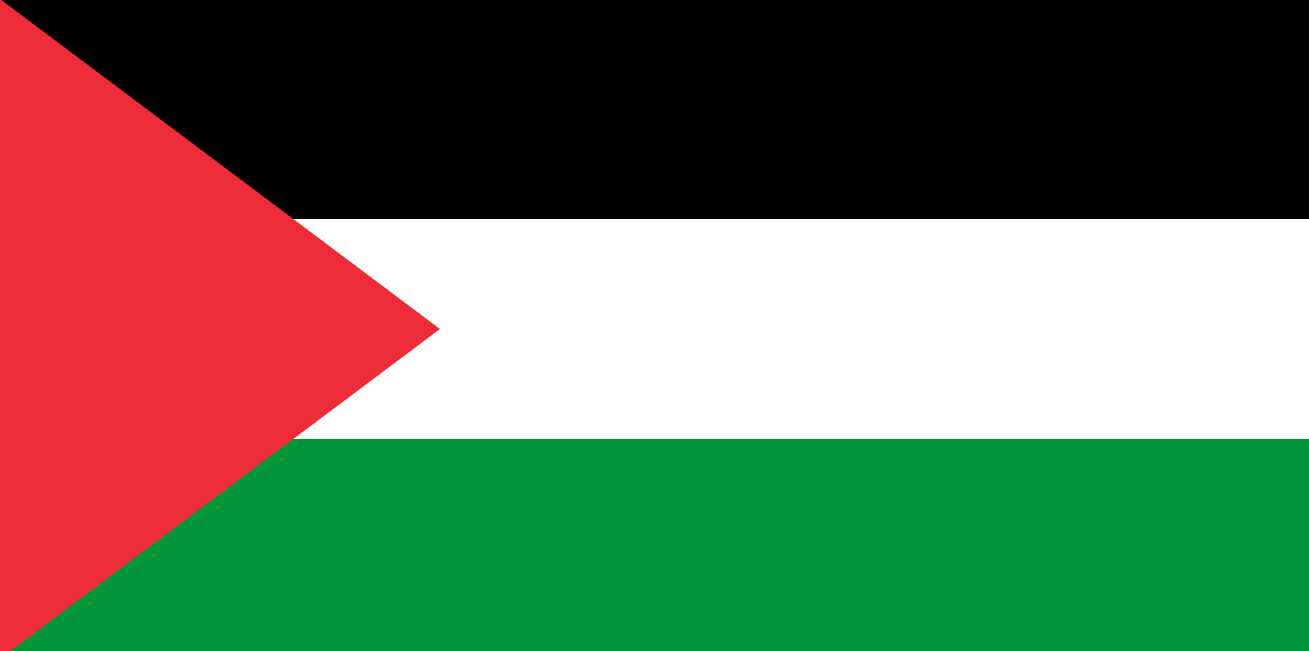 palestine fllag