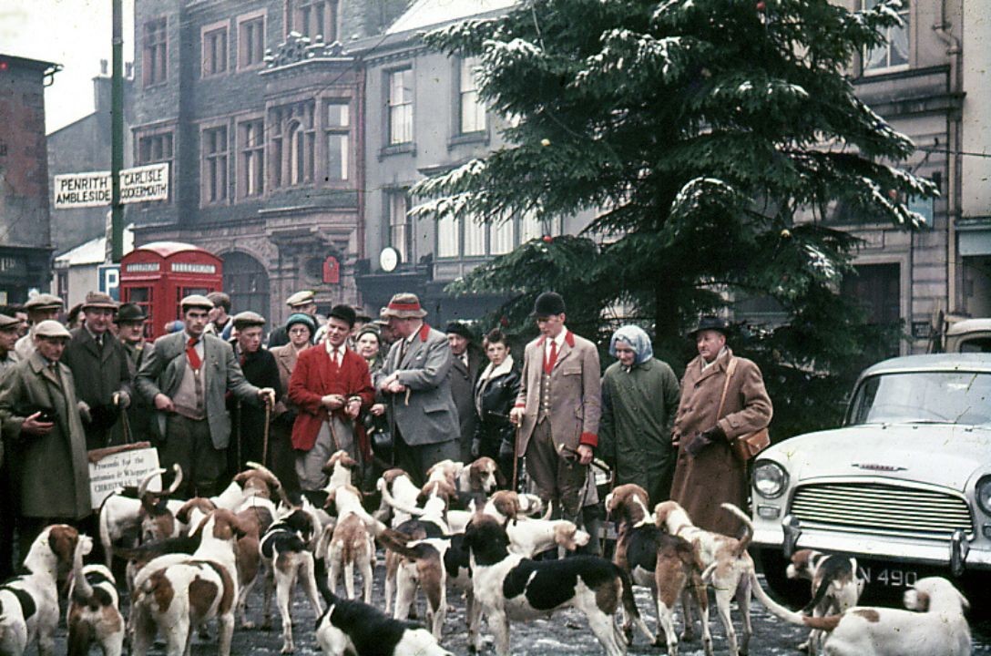 Its Origin Story Is A Family Of Theories, Not One Proven Tale