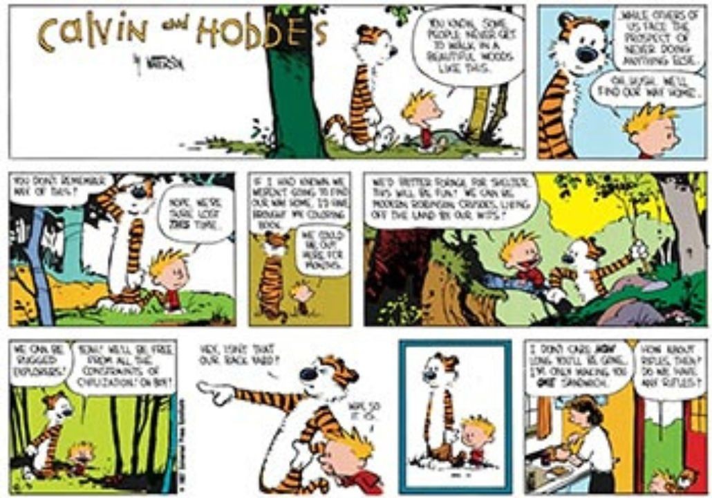 Calvin And Hobbes
