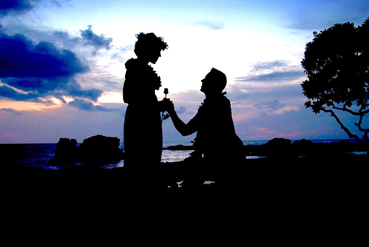 Proposal