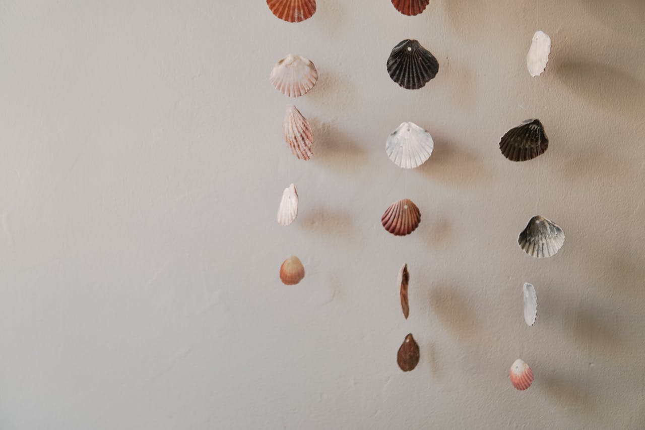 Seashell Ornaments