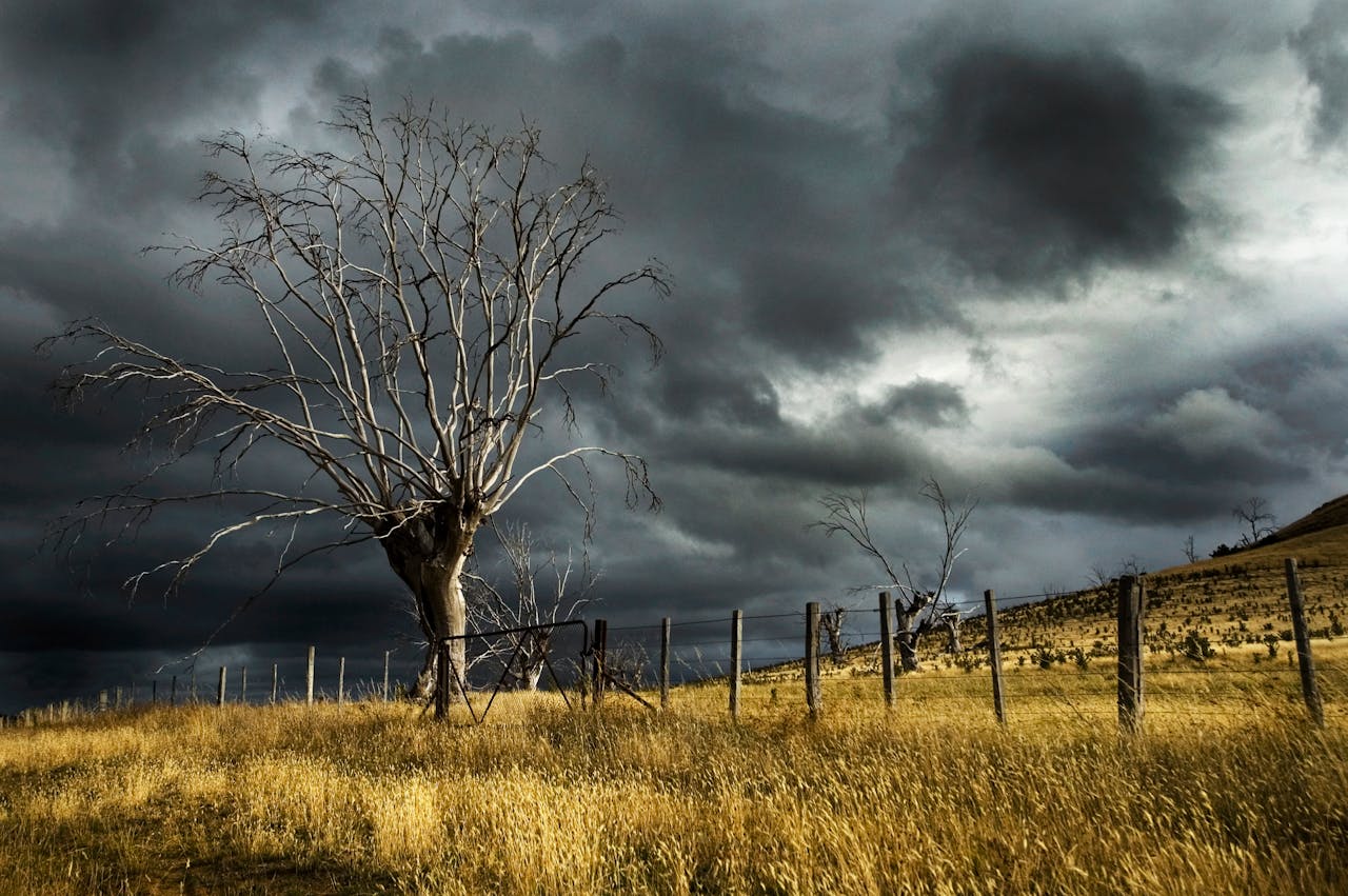 Storm