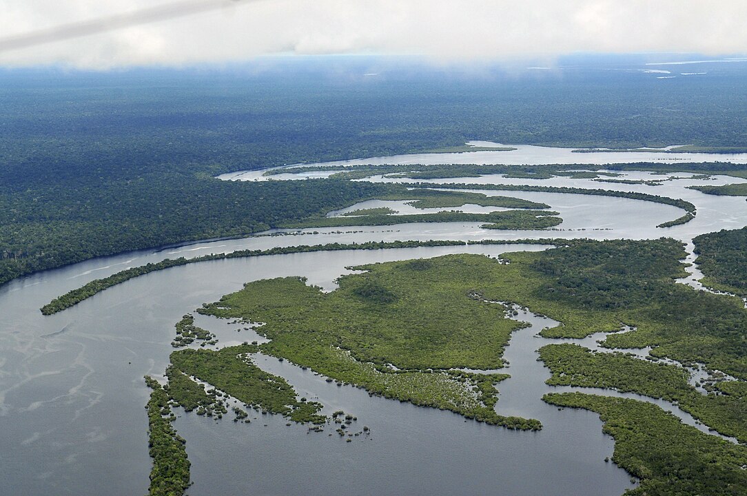 Amazon rainforest